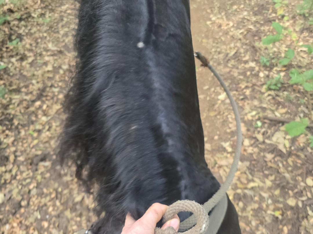 The Monkey Farm-Playa Ocotal必去景点