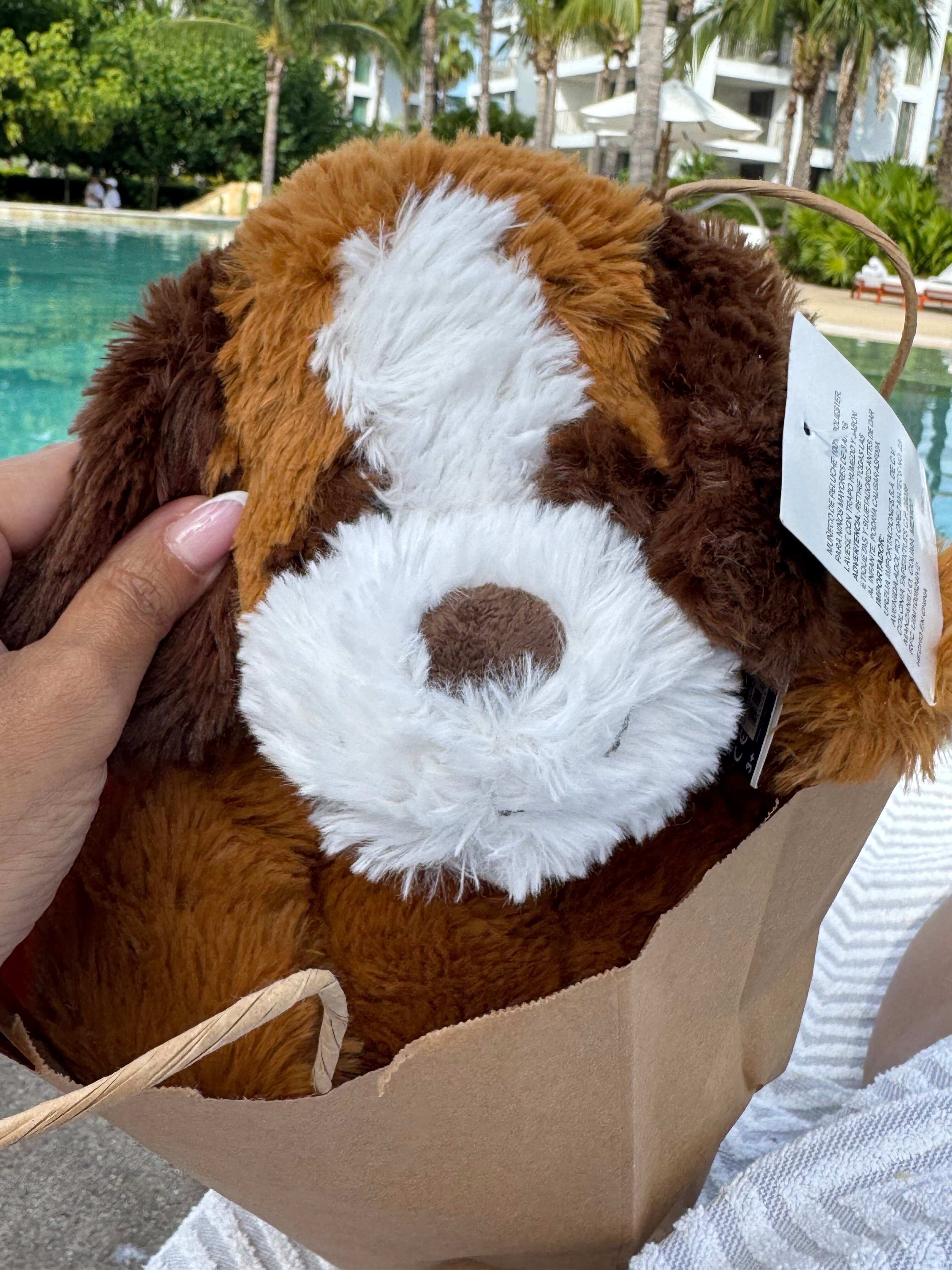 Conrad Punta de Mita-官方