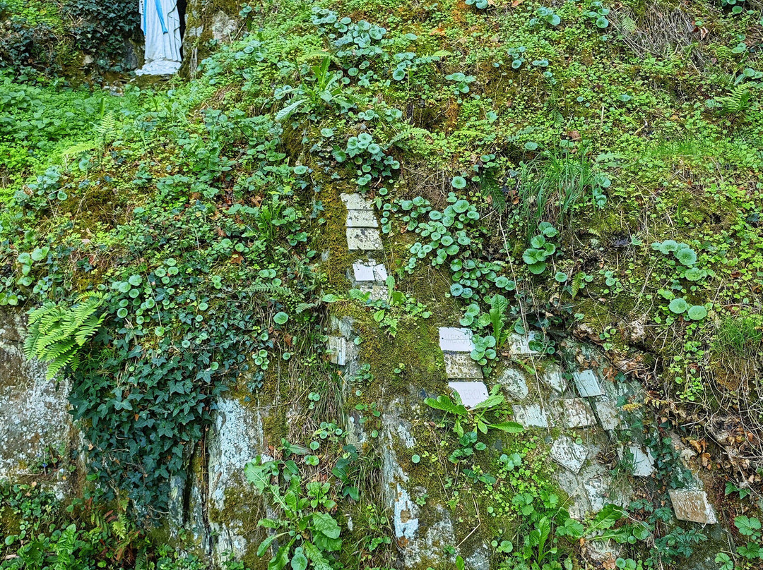 Pont médiéval et Grotte de Vouvant.-Vouvant必去景点