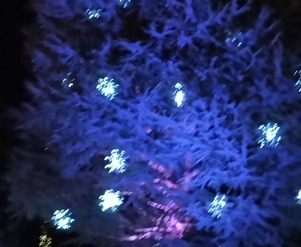 Thursford-Fakenham必去景点