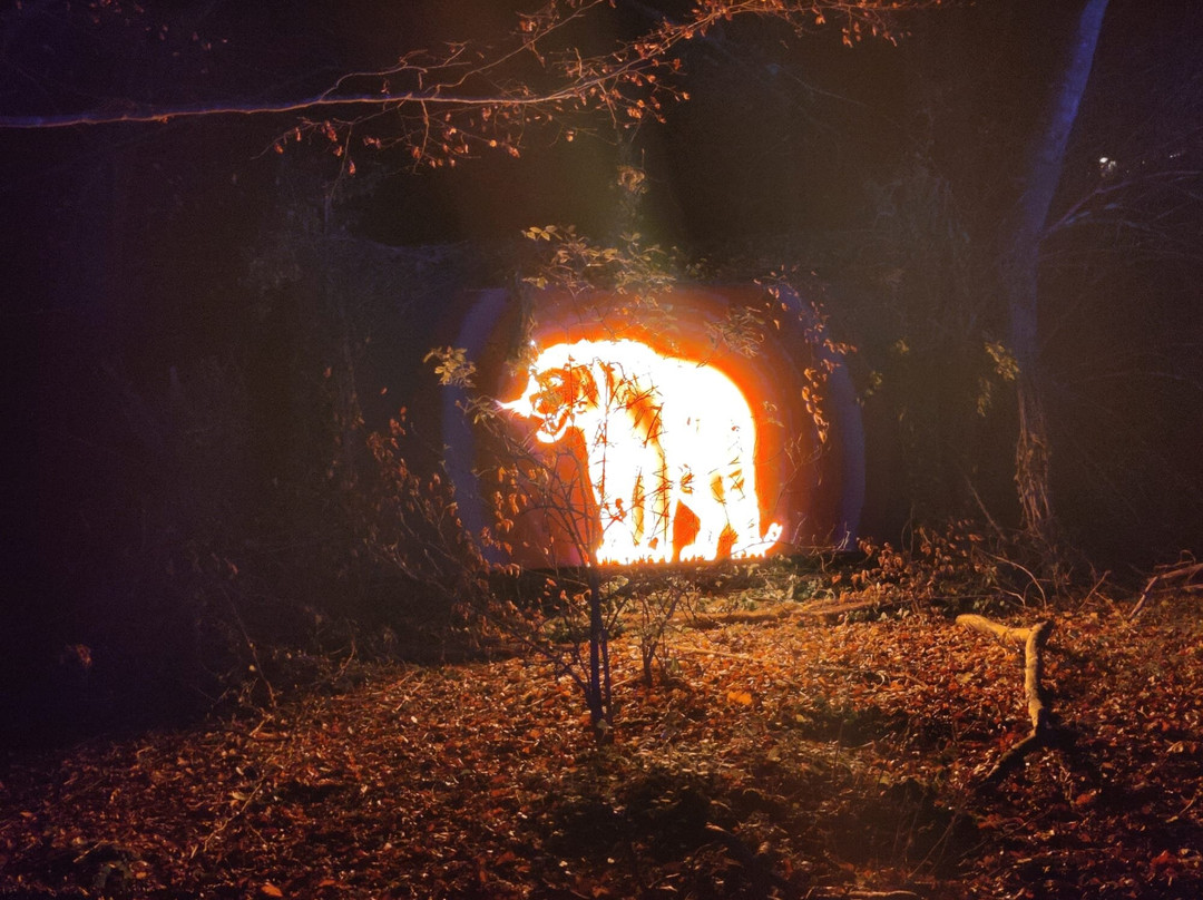 Port Lympne Reserve-Lympne必去景点