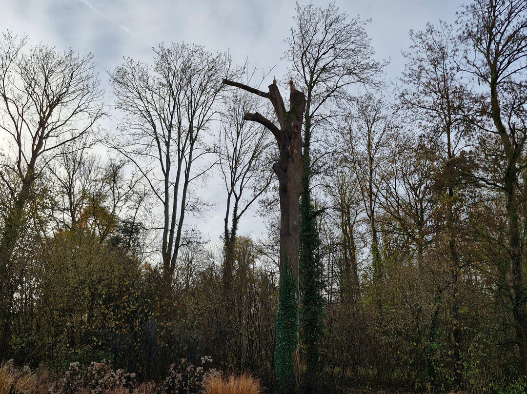 Alden Biesen-Bilzen必去景点