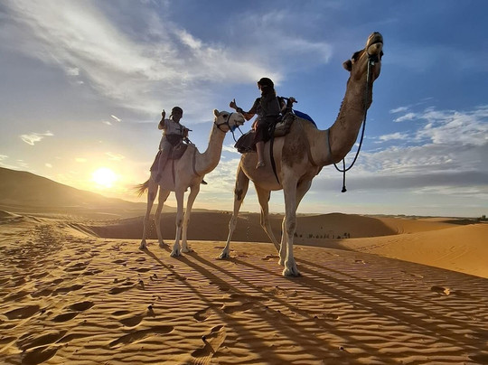 Explore Exotic Morocco-迈哈米德必去景点