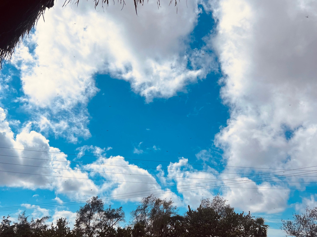 Cuban Classic Car Tours by Eddy-哈瓦那必去景点