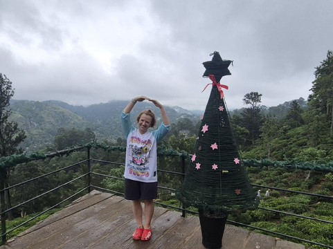 Ceylon Private Taxi-加勒必去景点