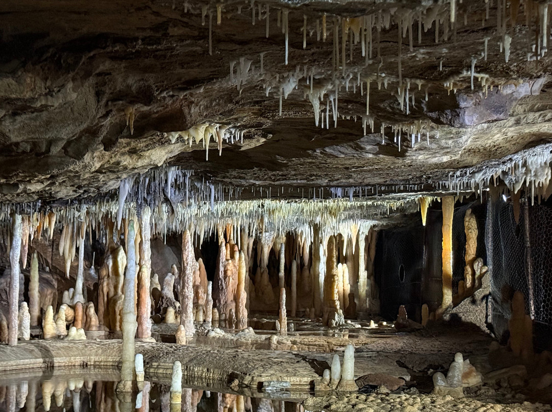 Buchan Caves Reserve-Buchan必去景点