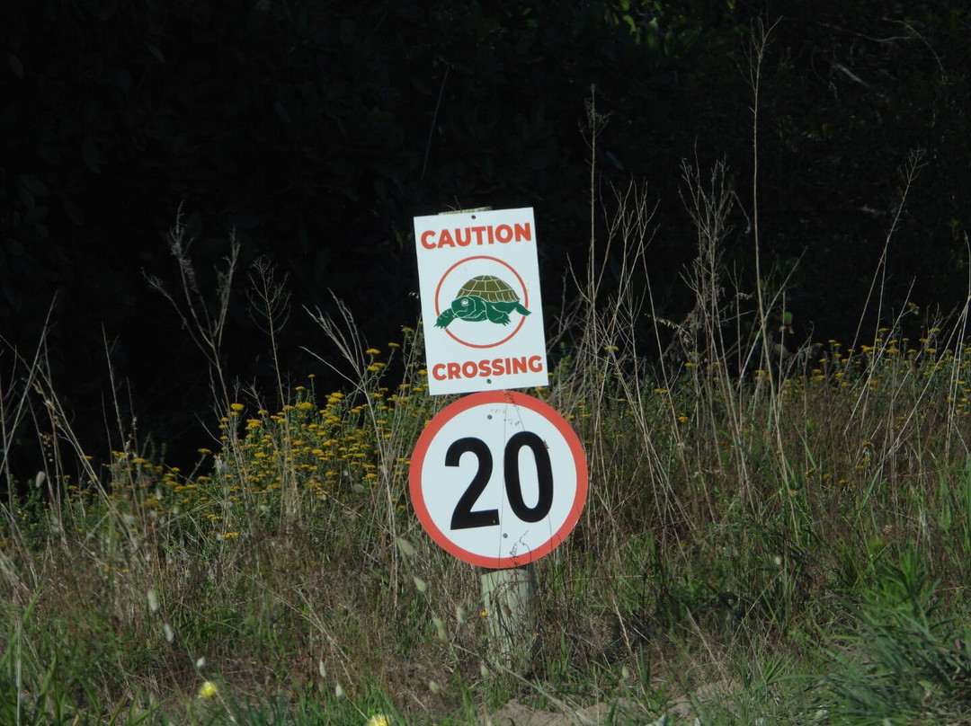 Reflections Eco Reserve主图