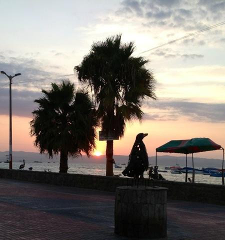 Ballestas Islands-皮斯科必去景点