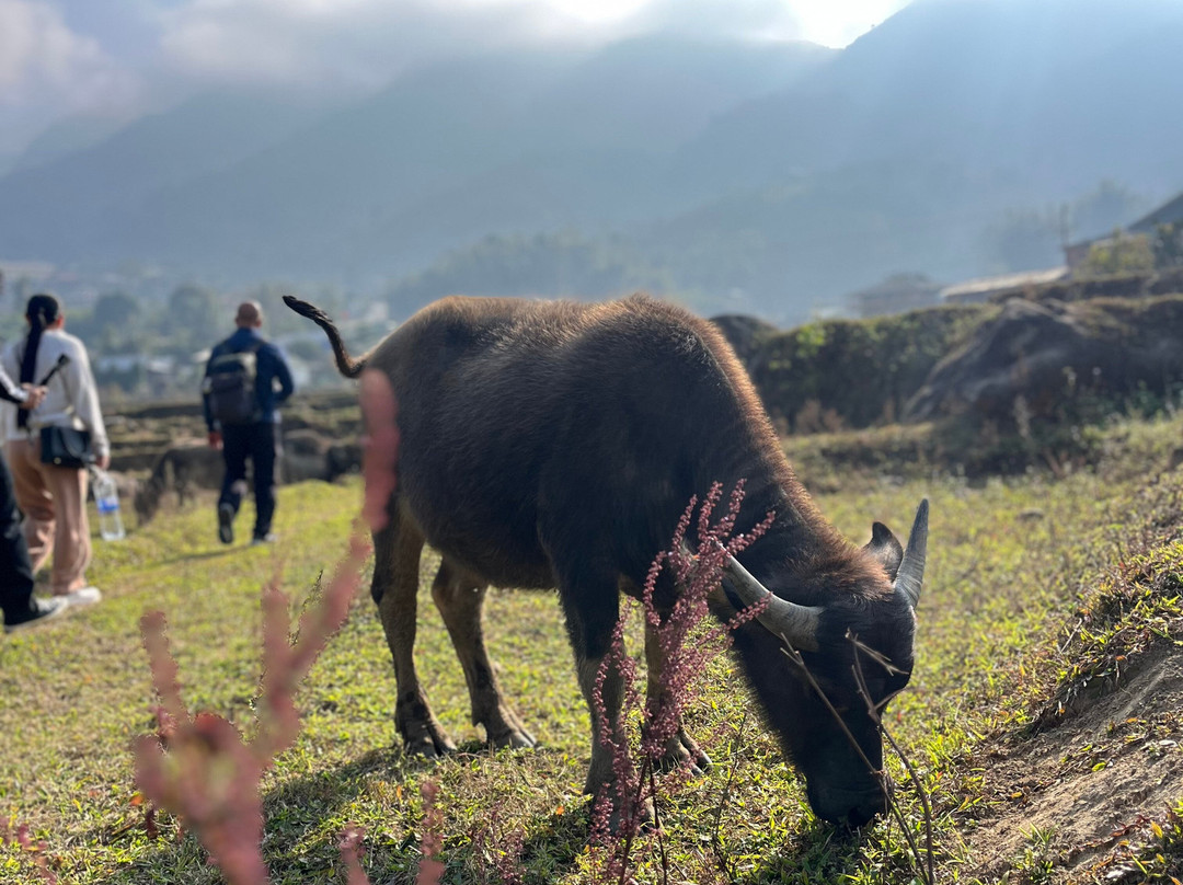 Mountain Light Travel-河内必去景点