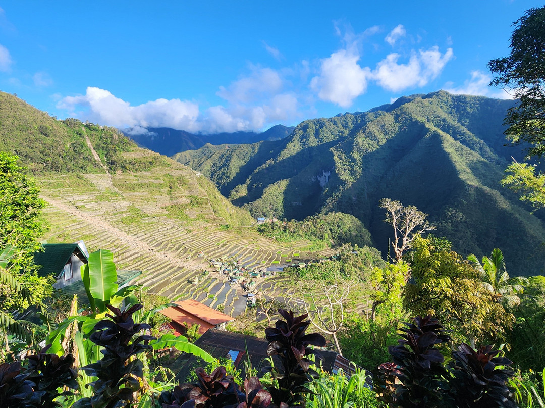 Rita's Mount View Inn主图