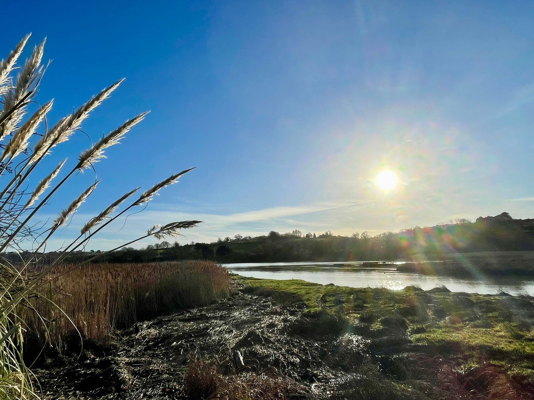 贝斯特韦斯特路途别墅酒店主图