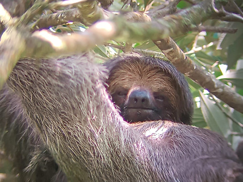 Eleven Tranfers and Tours-利比里亚必去景点