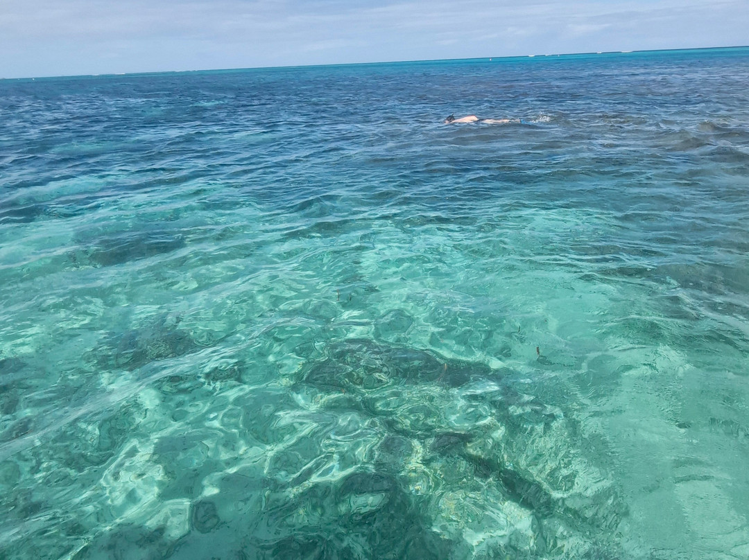 La Berceuse Creole主图