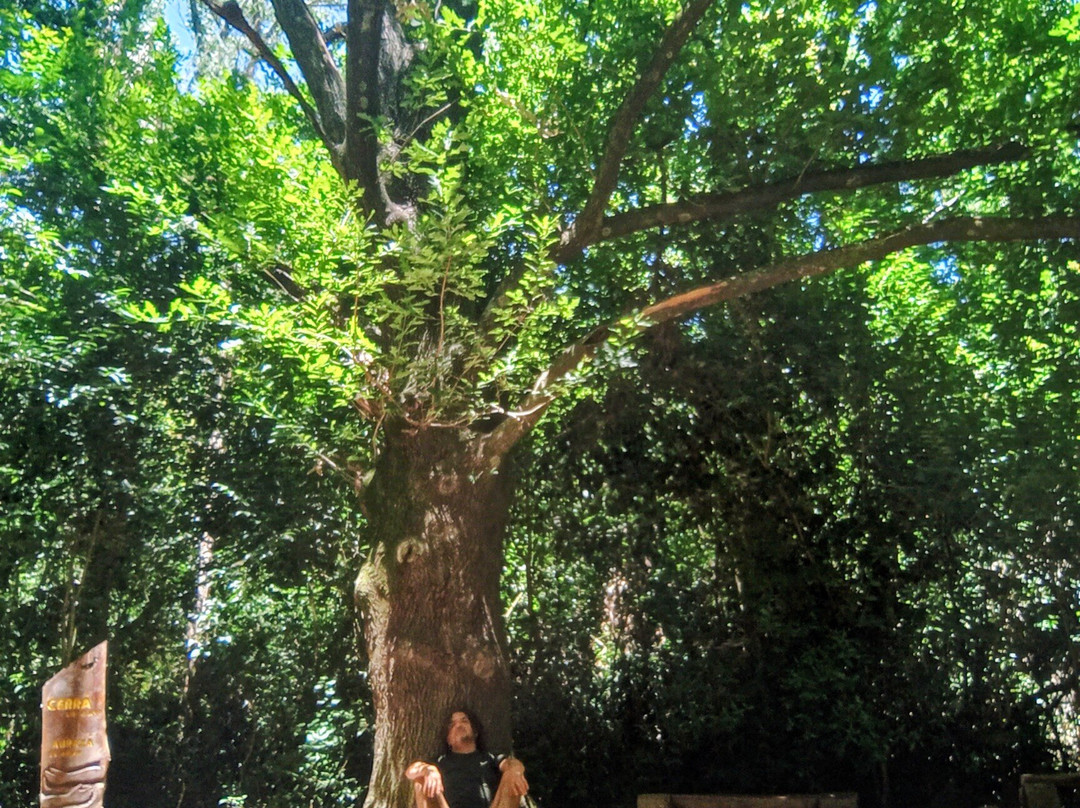 Parque Los Robles-Moreno必去景点