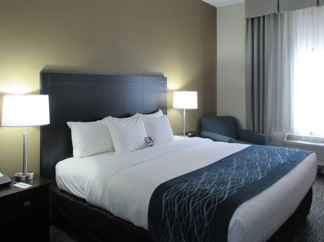 Avoca酒店住宿-Comfort Inn