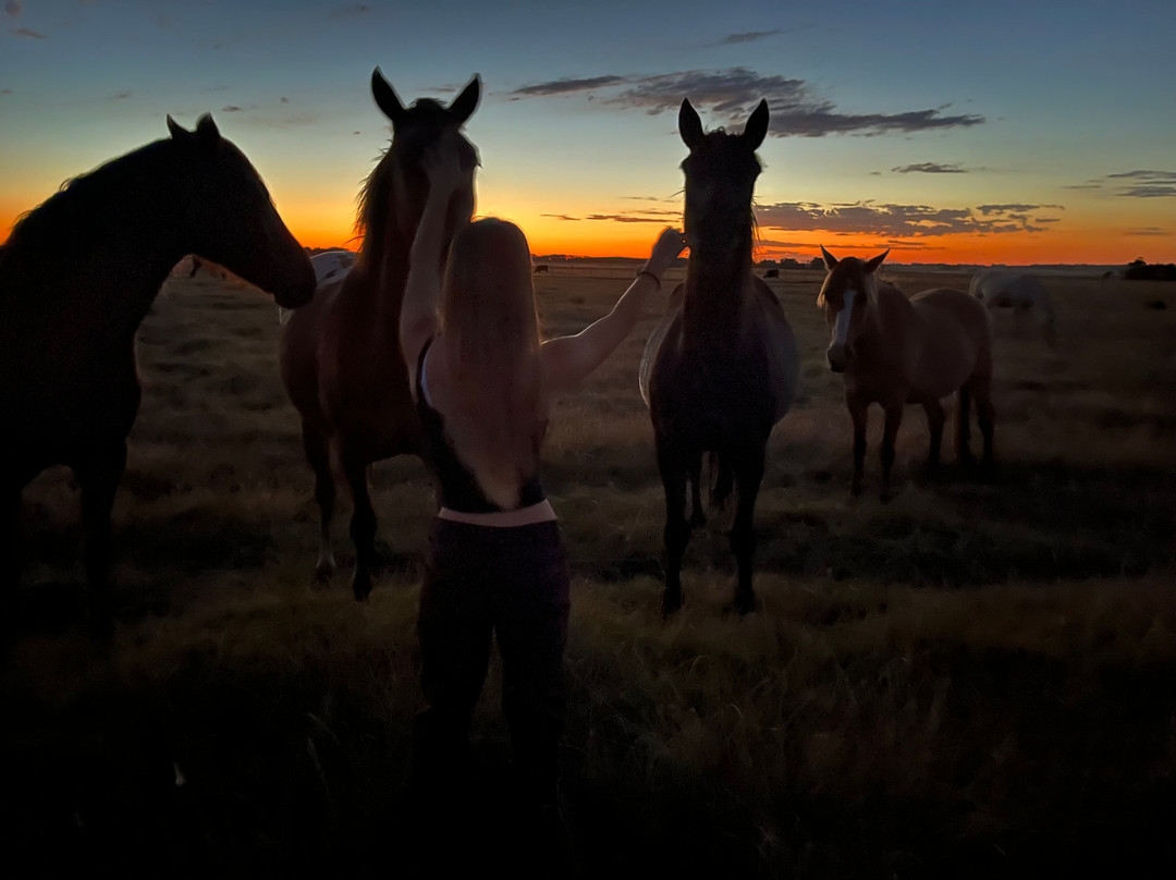 Eco Equus Cabalgatas-La Pedrera必去景点