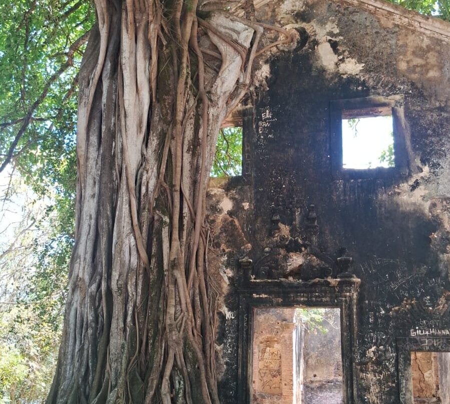 Praia Lucena-Lucena必去景点