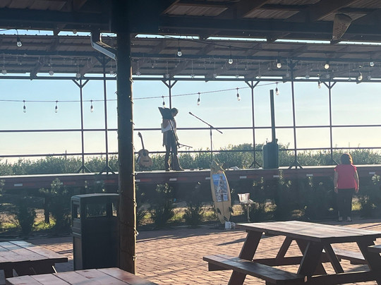 Southern Hill Farms-Clermont必去景点