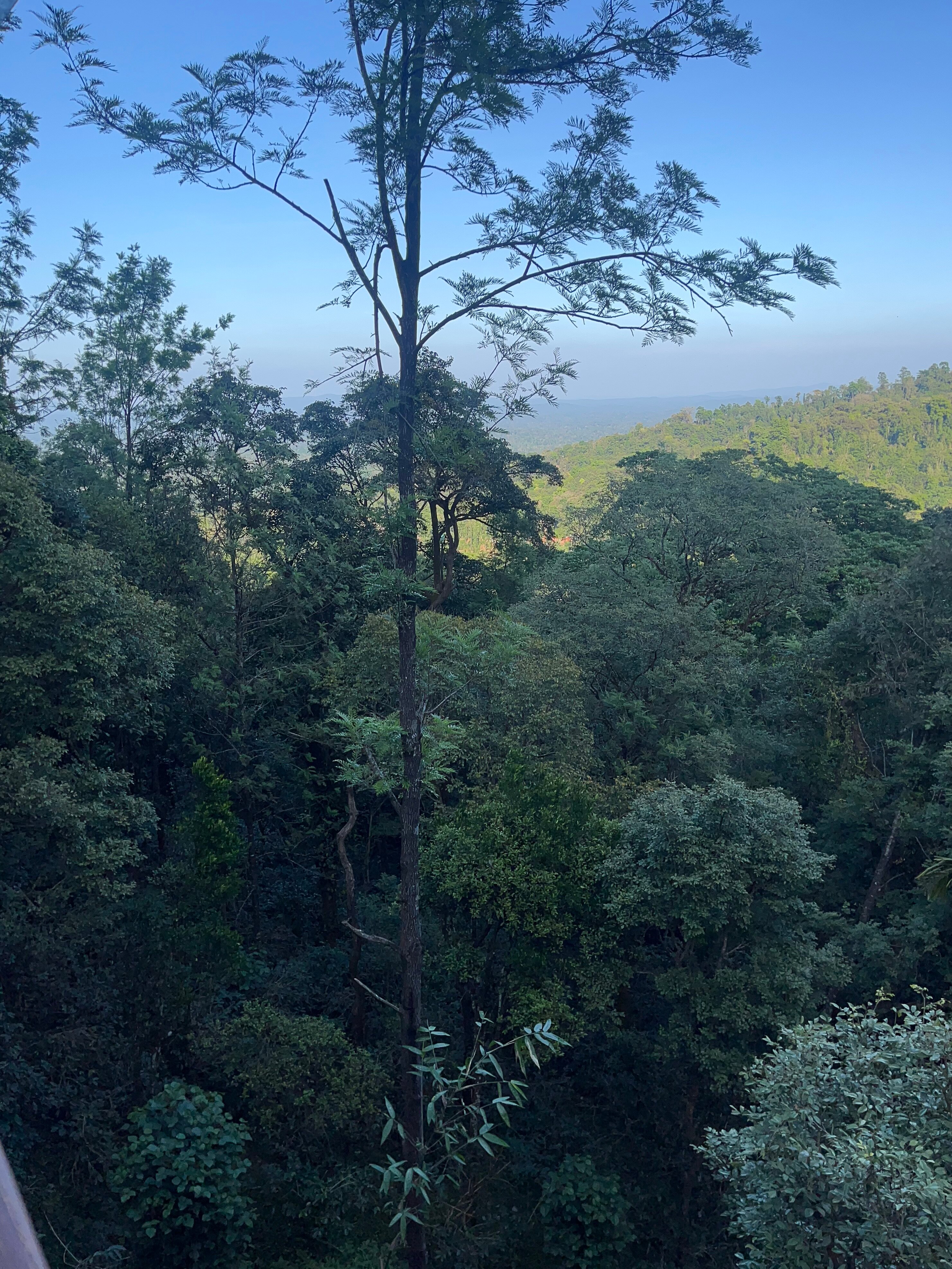 塔玛拉古尔格度假村-官方