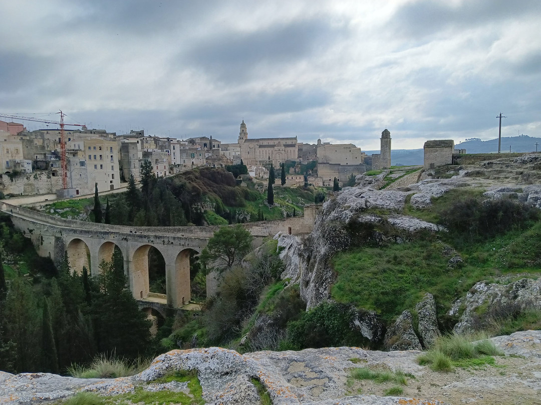 Walking Nature Outdoor