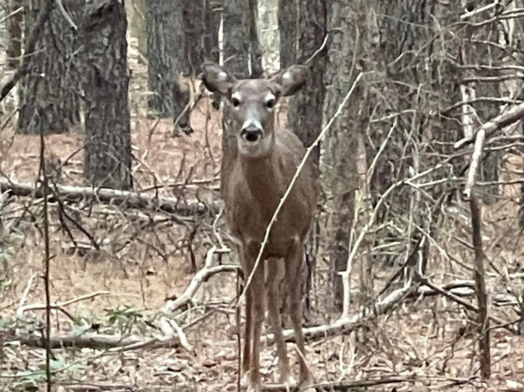Maurice River Bluffs  Nature Preserve-Millville必去景点