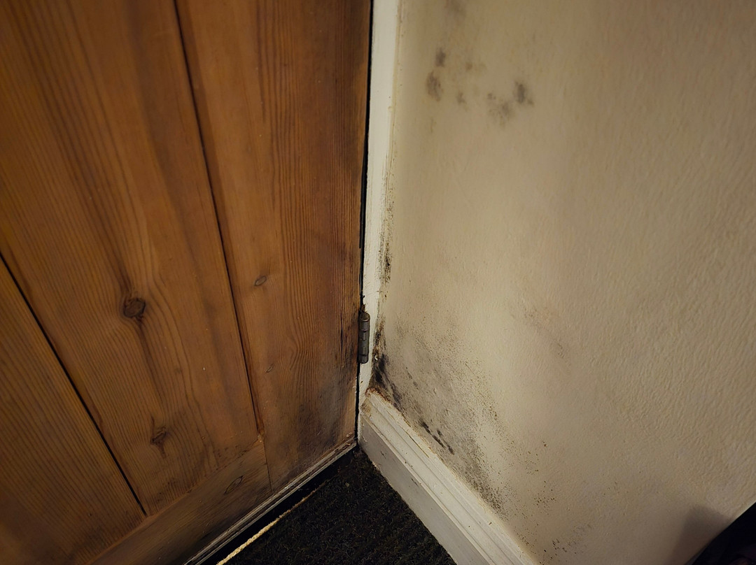 The Duke of Wellington主图