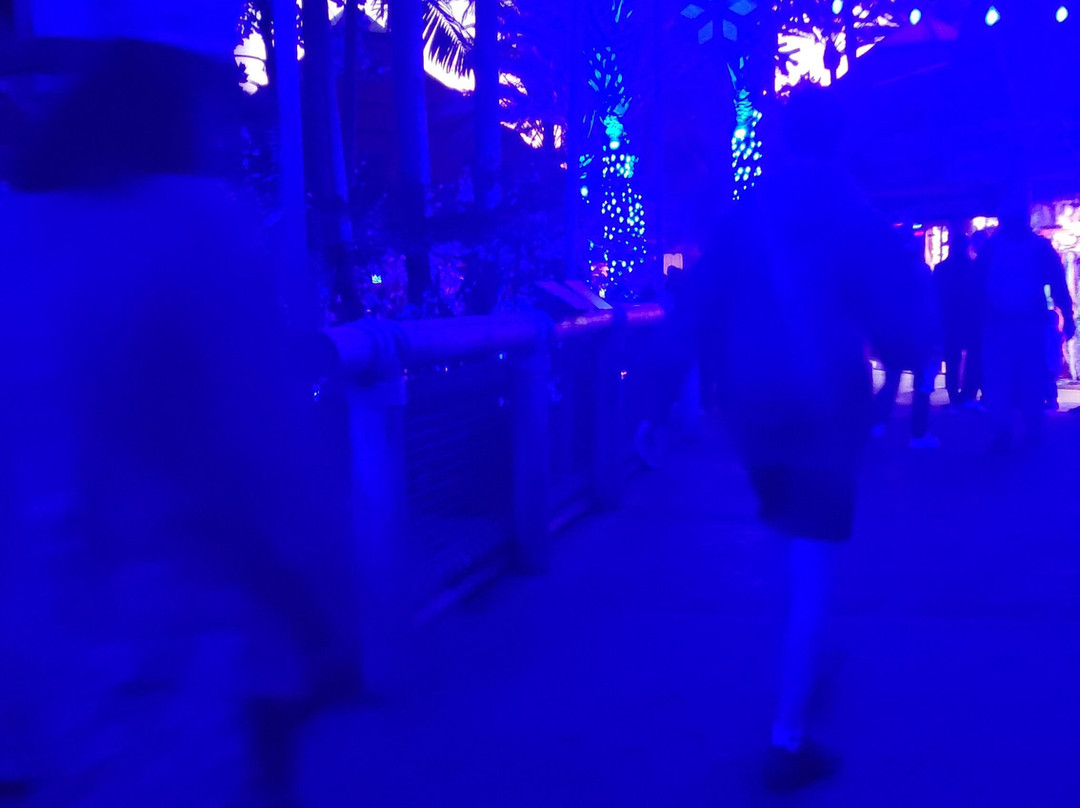 圣地亚哥野生动物公园-埃斯孔迪多必去景点