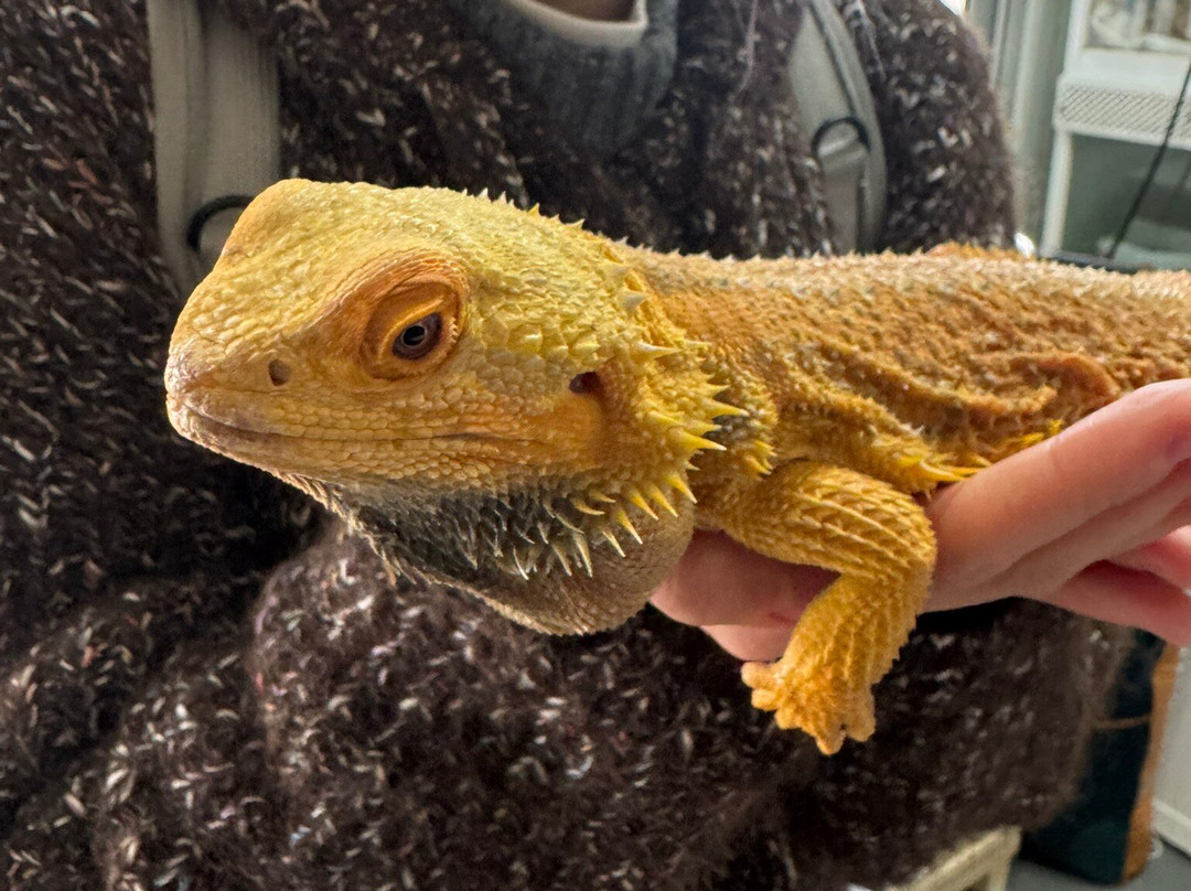 Quinta Fotoplanet Farm-阿尔布赞拉必去景点