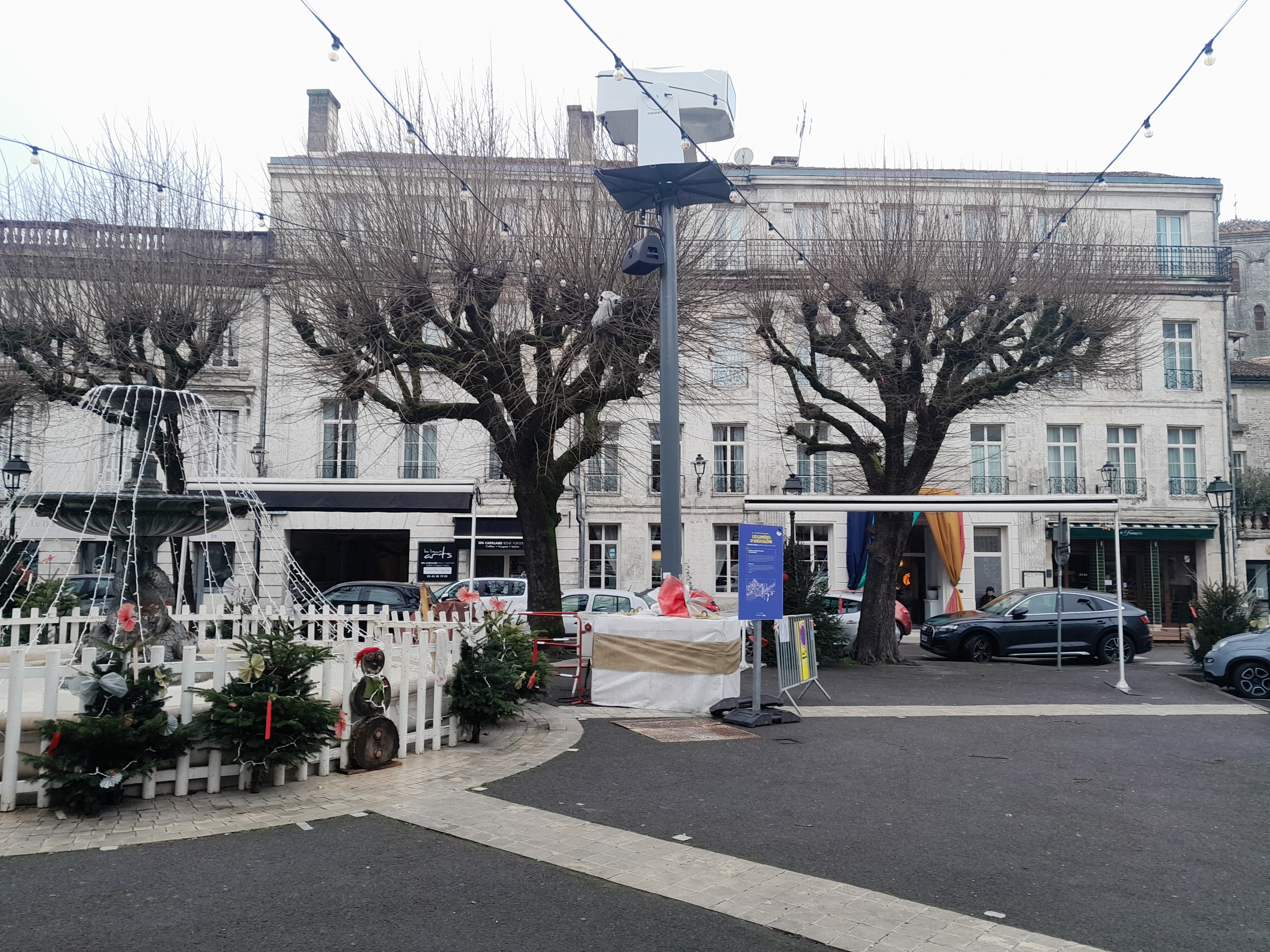 Hotel du Palais-官方