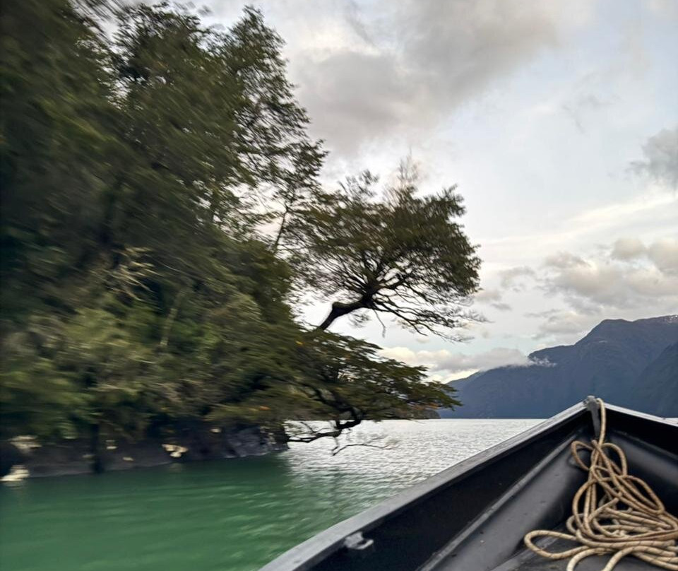 Lodge Tagua Tagua主图