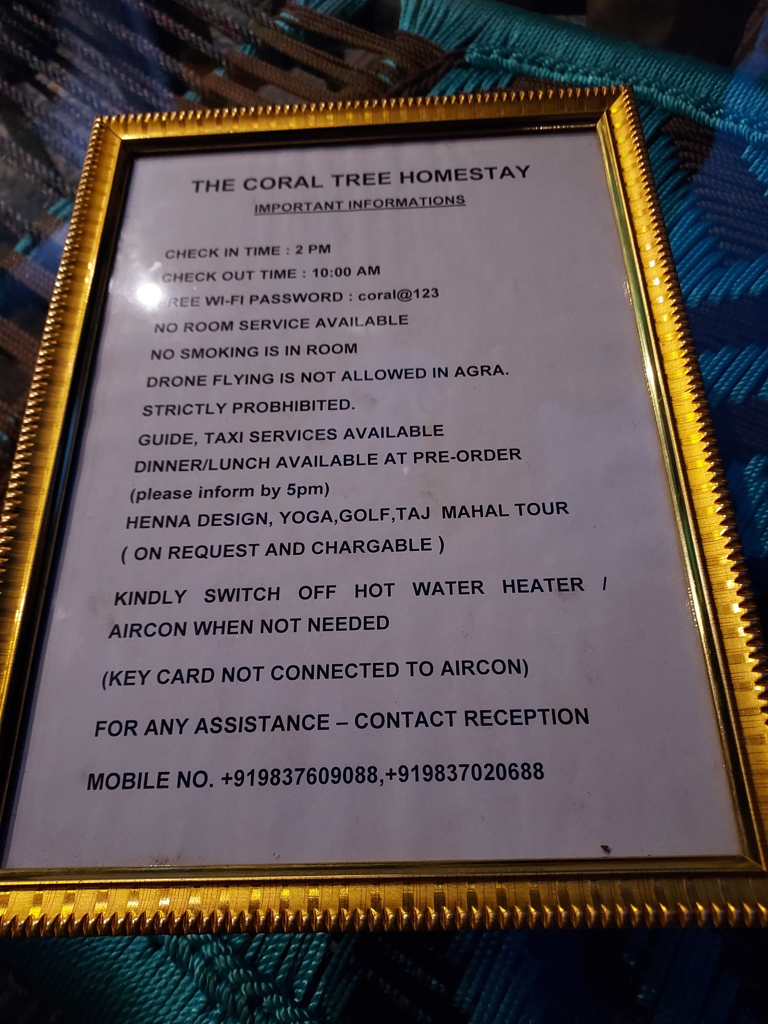 The Coral Tree-官方
