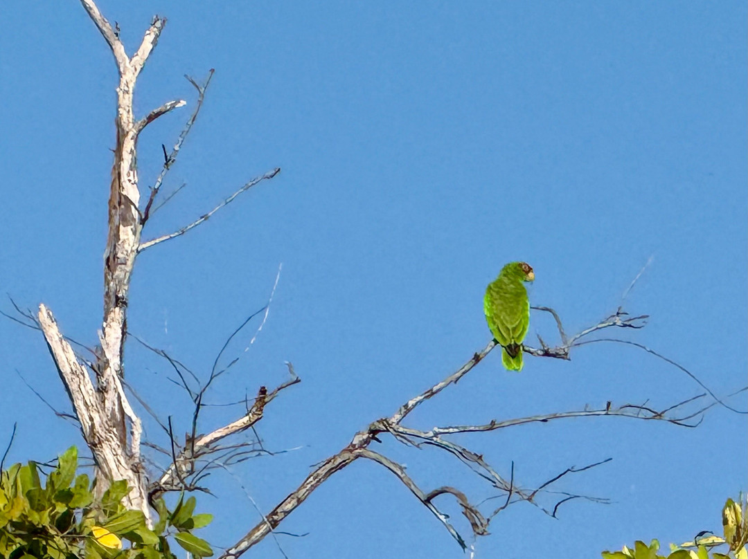 Lalo Ecotours-埃斯孔迪多港必去景点