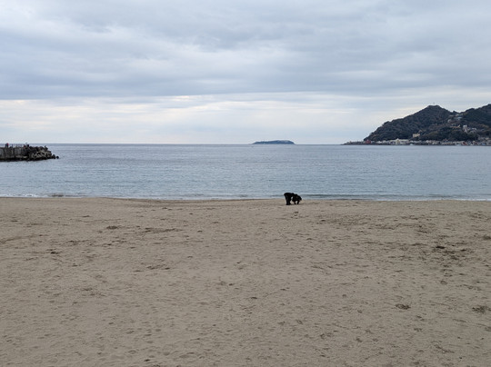 Nagahama Kaihin Park-热海市必去景点