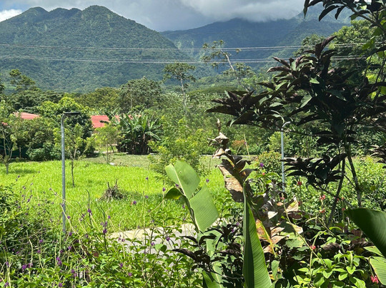 Coati Tours-La Fortuna必去景点