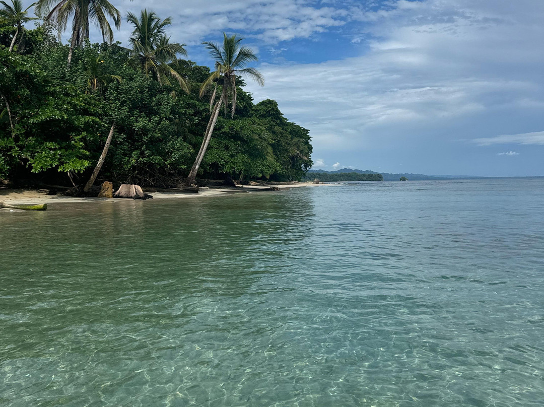 Caribe Love Tattoo-旧港必去景点