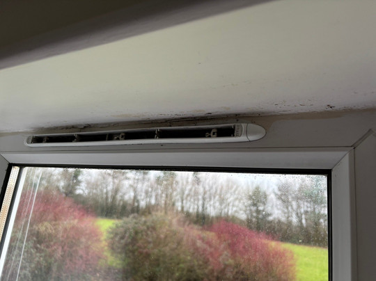 假日切斯特南部酒店主图