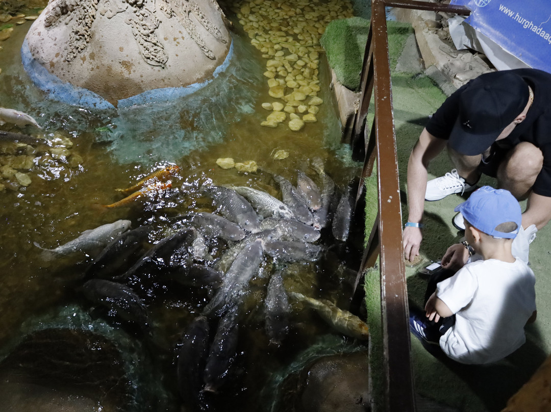 Hurghada Grand Aquarium-赫尔格达必去景点