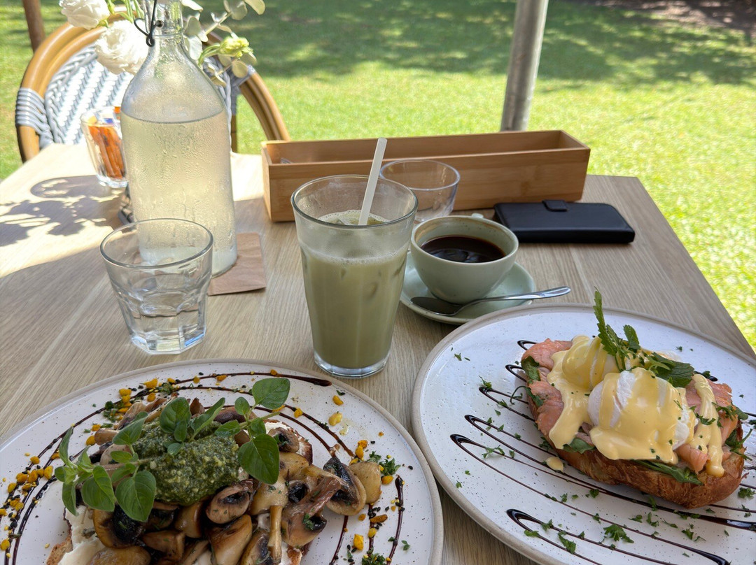 Macadamias Australia-邦德堡必去景点