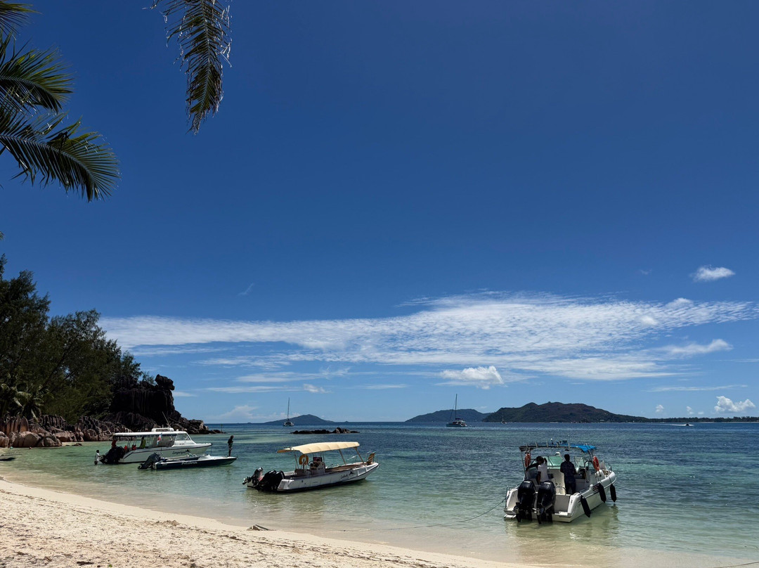 Curieuse Island-普拉兰岛必去景点
