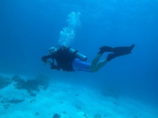 Quicksilver Dive-道格拉斯港必去景点