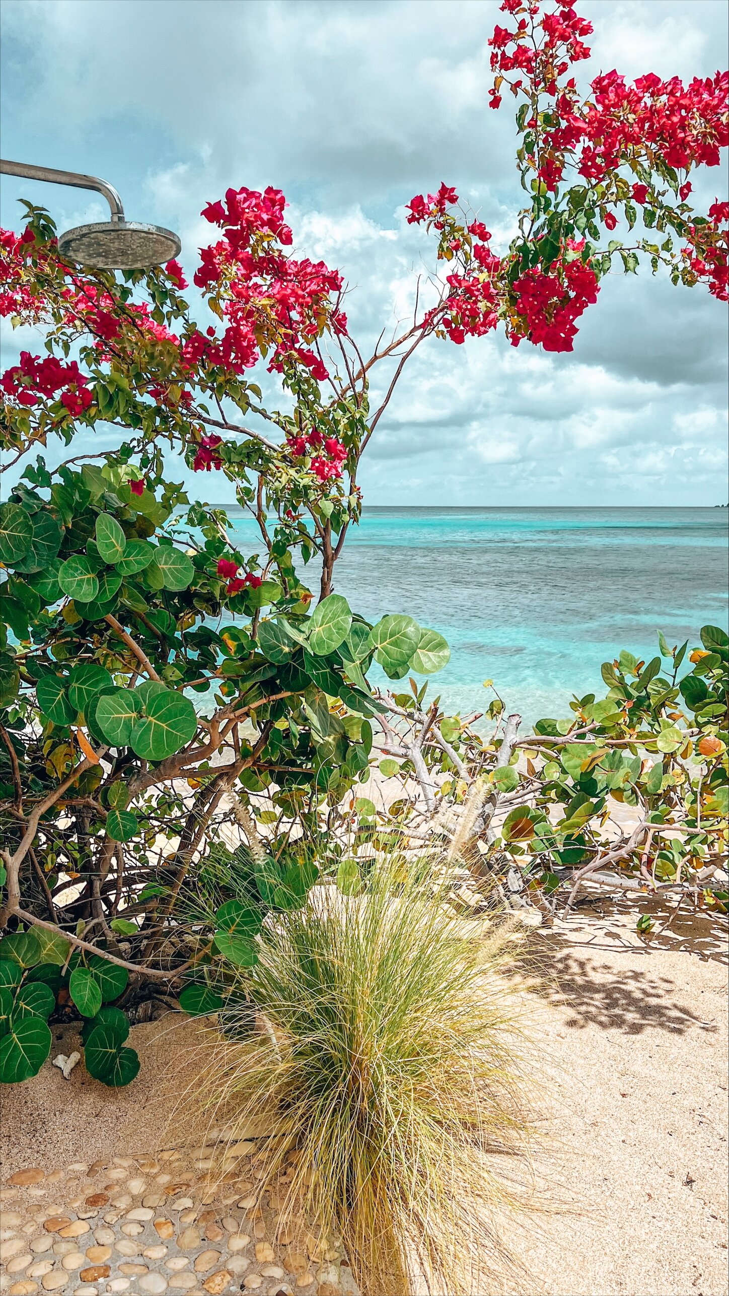 Mango Bay Resort-泳池