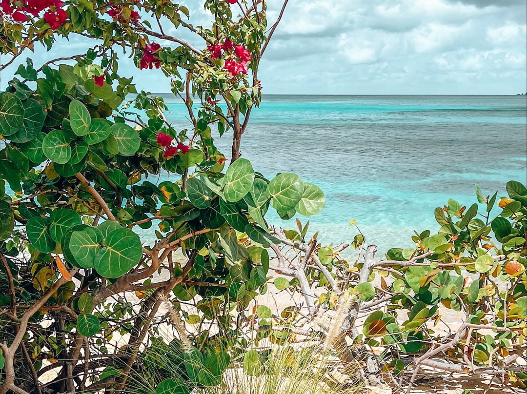 Mango Bay Resort主图