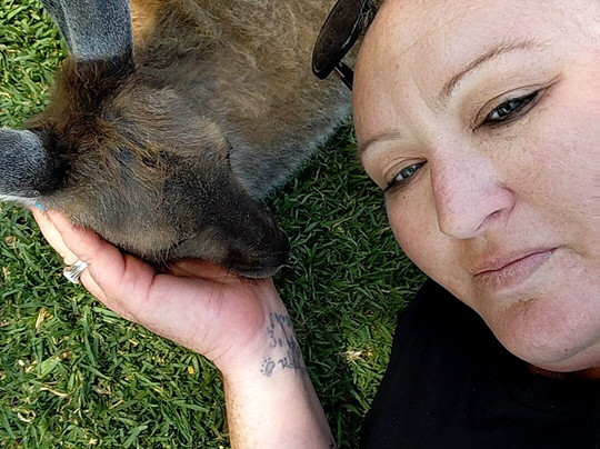 Glen-Forest Tourist Park & Vineyard-Port Lincoln必去景点