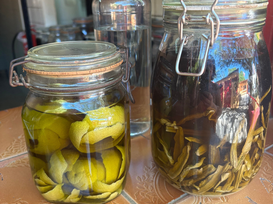 The Cadushy Distillery-Rincon必去景点