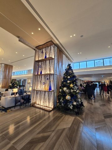 希尔顿伊斯坦布尔博斯普鲁斯酒店-浴室