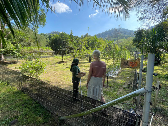 Langkawi Cooking School at Buluh & Tebing Organic Farm-兰卡威必去景点