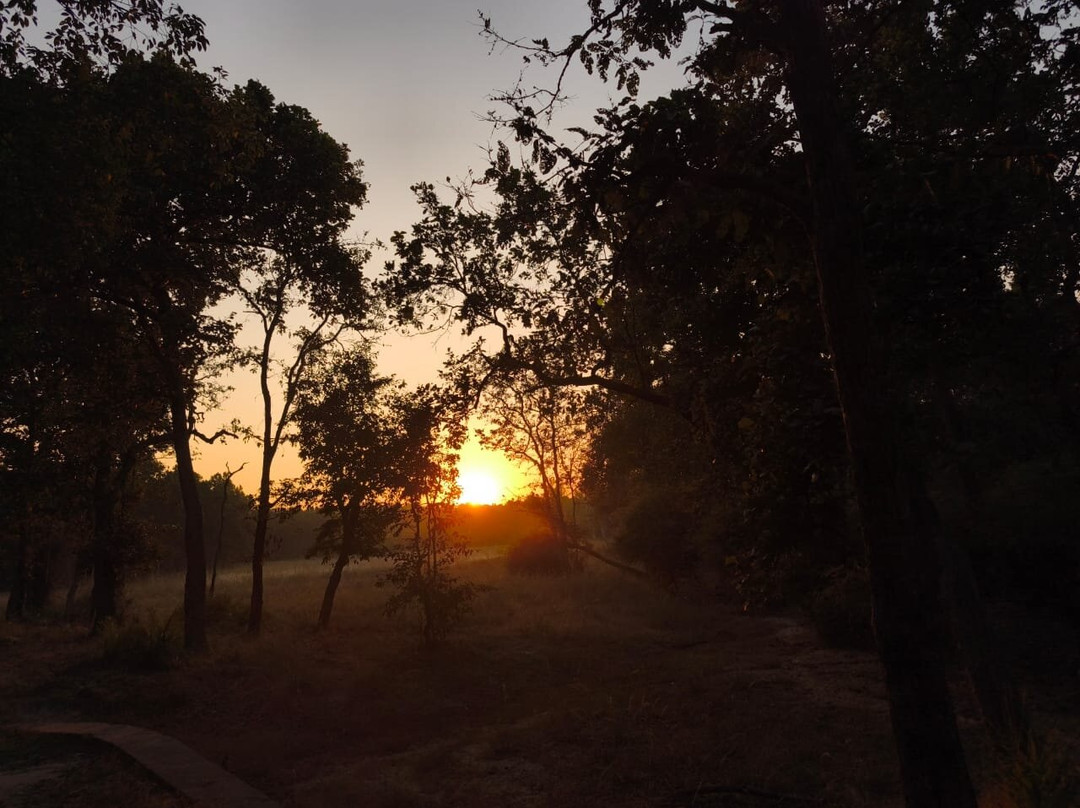 Bagh Tola, Bandhavgarh主图