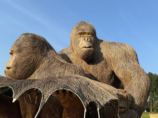 Africa Adventure Safaris-坎帕拉必去景点