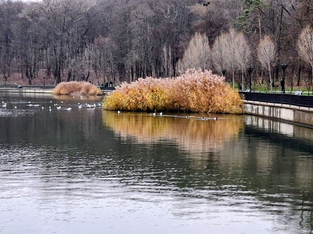 Valea Morilor-基希讷乌必去景点