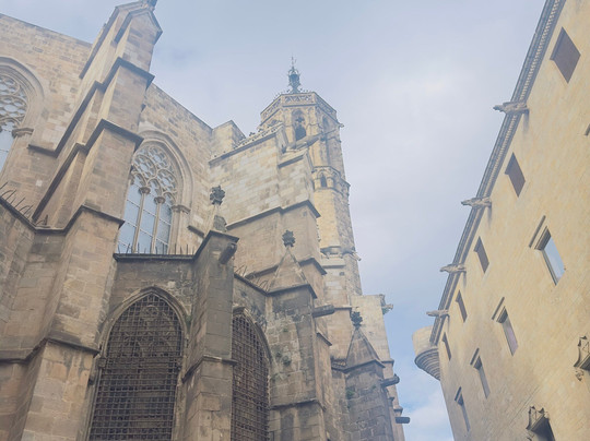 Guia de Turismo Brasileiro em Barcelona-巴塞罗那必去景点